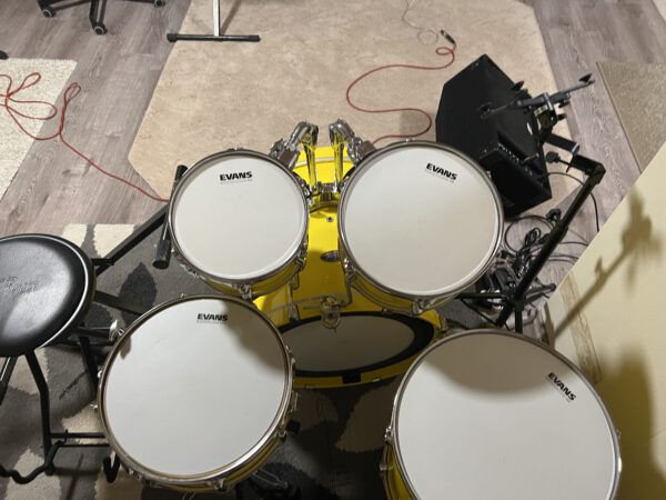 Pearl Decade Maple